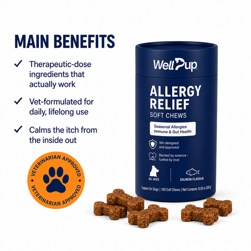 Finally. A Dog Allergy Chew With The Right Dose.